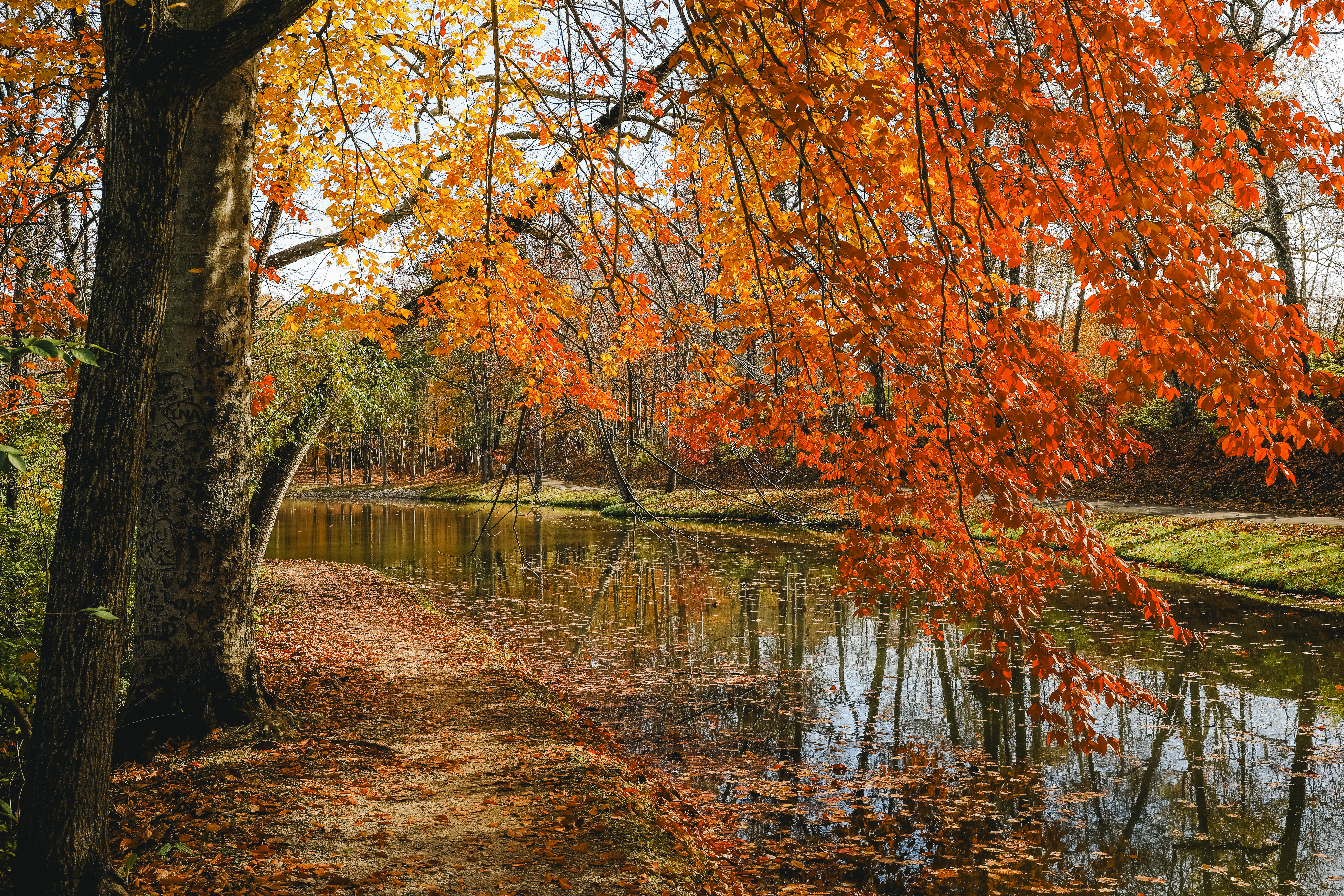 Bright autumn foliage reflected beside a creek and walking path at Tawawa Park in Sidney Ohio photographed by Dan Sproul